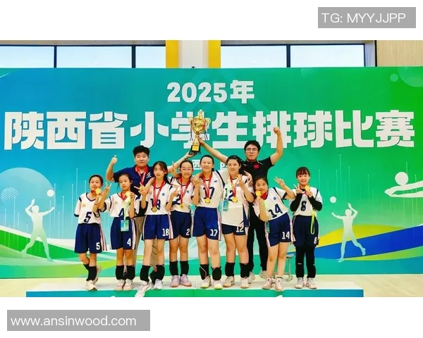 西安排球队的节奏分析与排球热点解读探讨