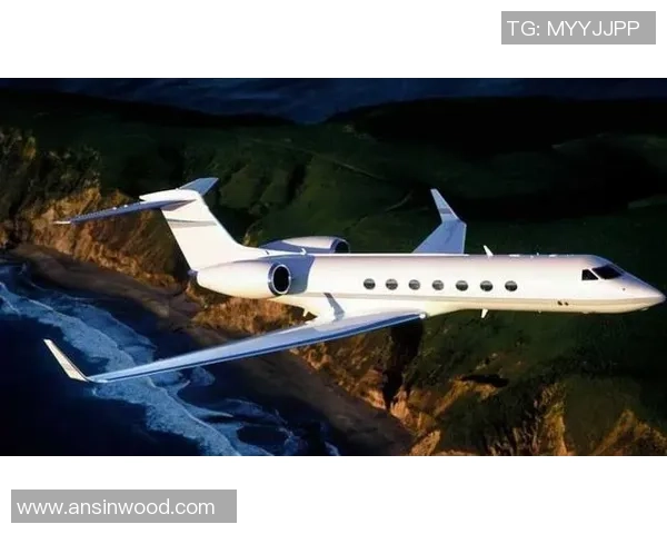 足球明星私人飞机价格揭秘谁是最奢华的飞行王者